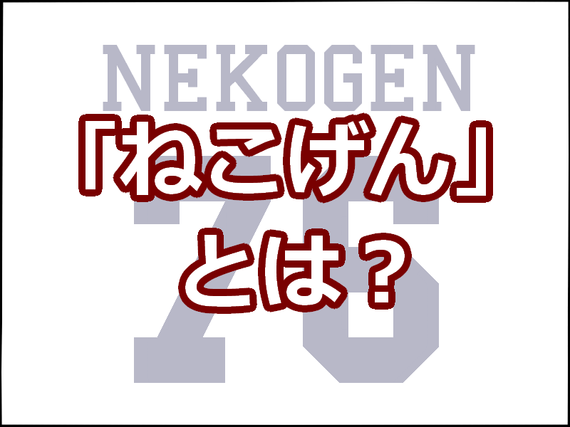 ねこげん ネコ源 とは 西武 金子侑司と源田壮亮が仲良しすぎる レディ ベースボール